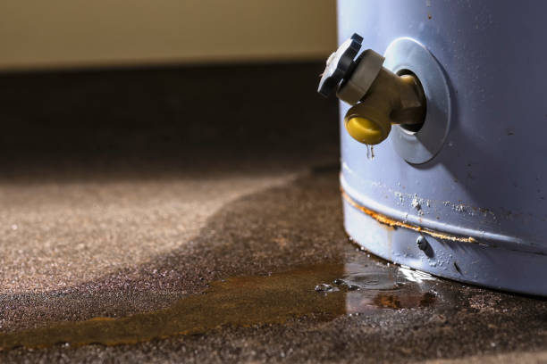 Best Water damage contractors near me  in Sublimity, OR