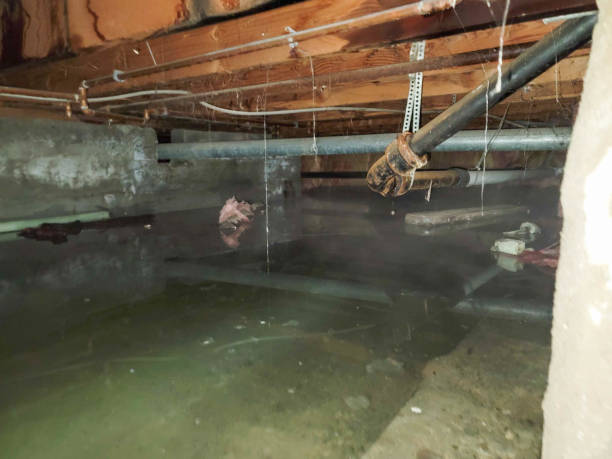 Best Residential water damage restoration  in Sublimity, OR