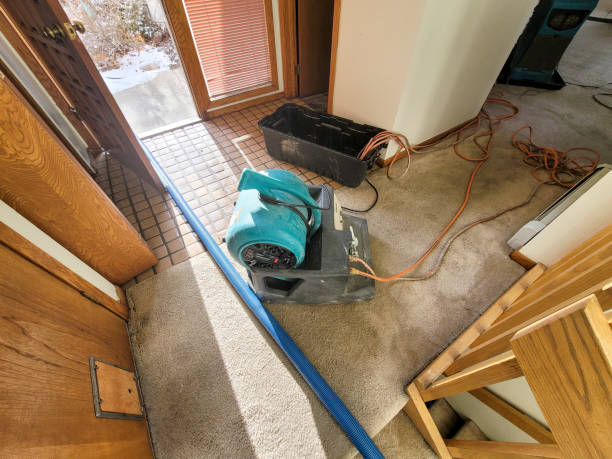 Trusted Sublimity, OR Water damage restoration Experts