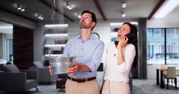 Best Mold removal after water damage  in Sublimity, OR