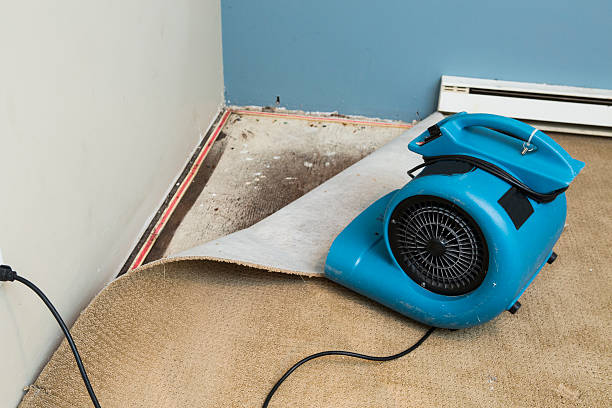 Best Sewage cleanup and water damage restoration  in Sublimity, OR